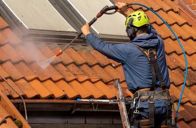 Démoussage et hydrofuge de toiture à Thomirey